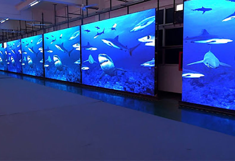 Image shows an indoor video wall displaying underwater scene with sharks